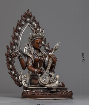 saraswati on swan