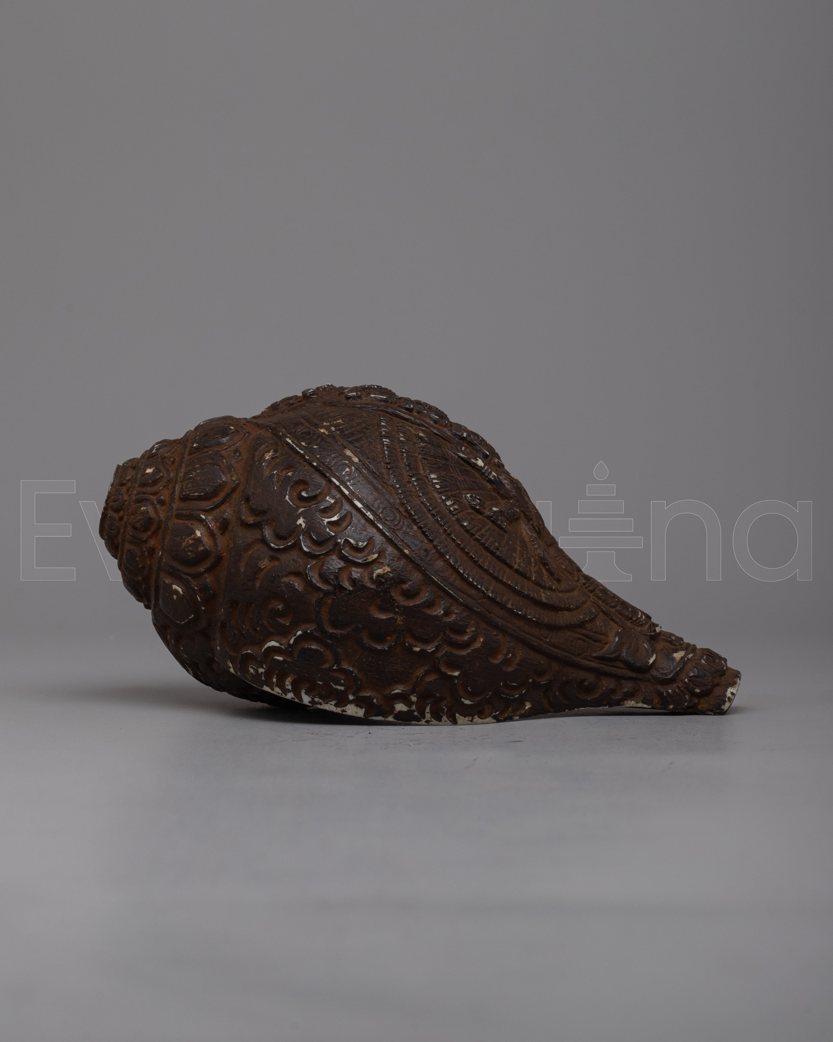 Conch Shell Sankha