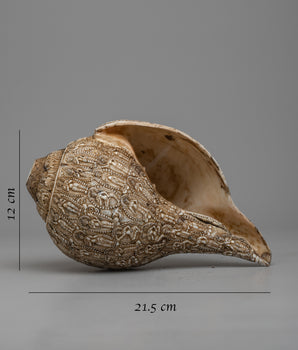 Different Deities Carved Shankha | A Reverent Expression of Devotion and Worship