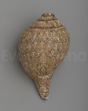  Deities Carved Shankha