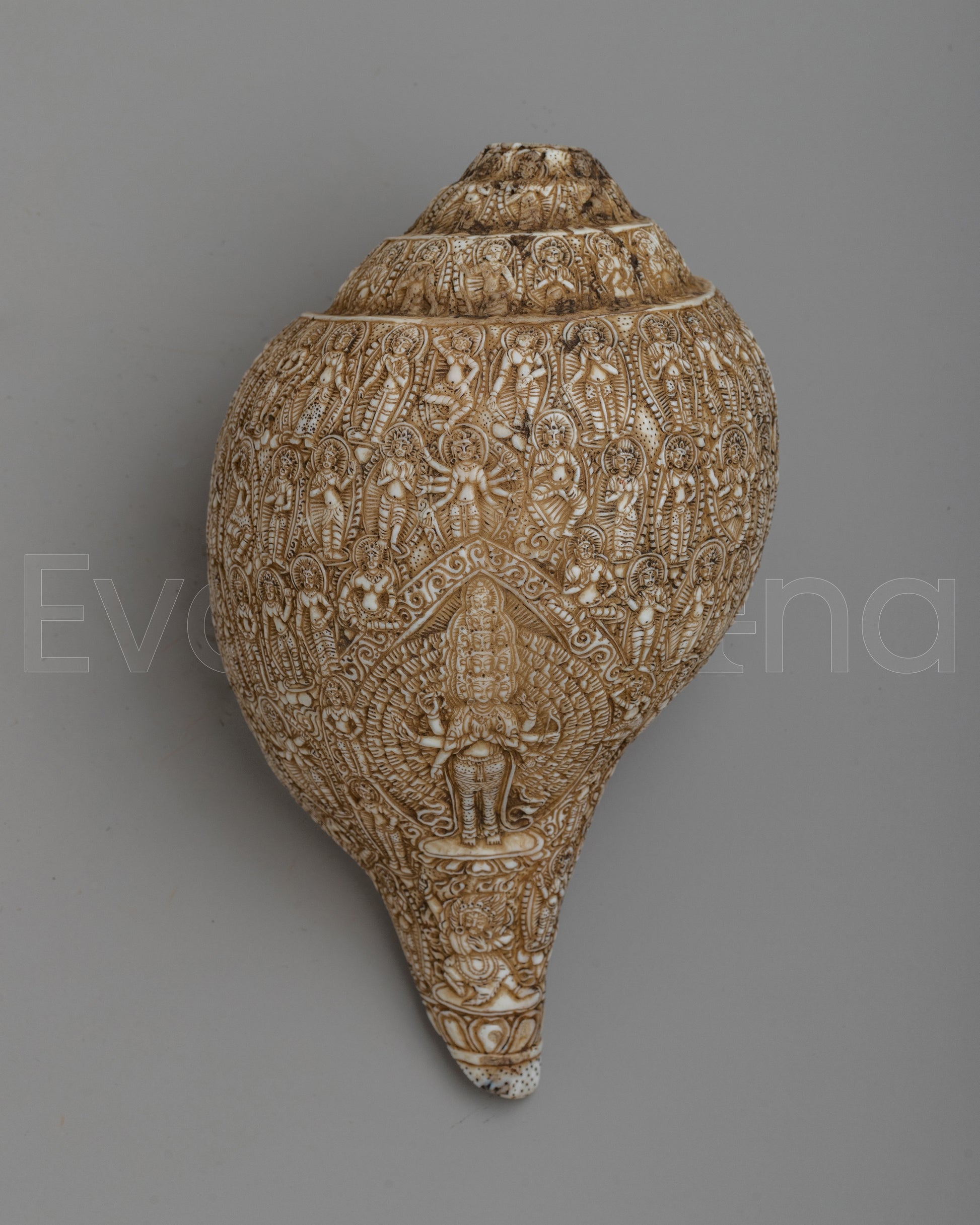  Deities Carved Shankha