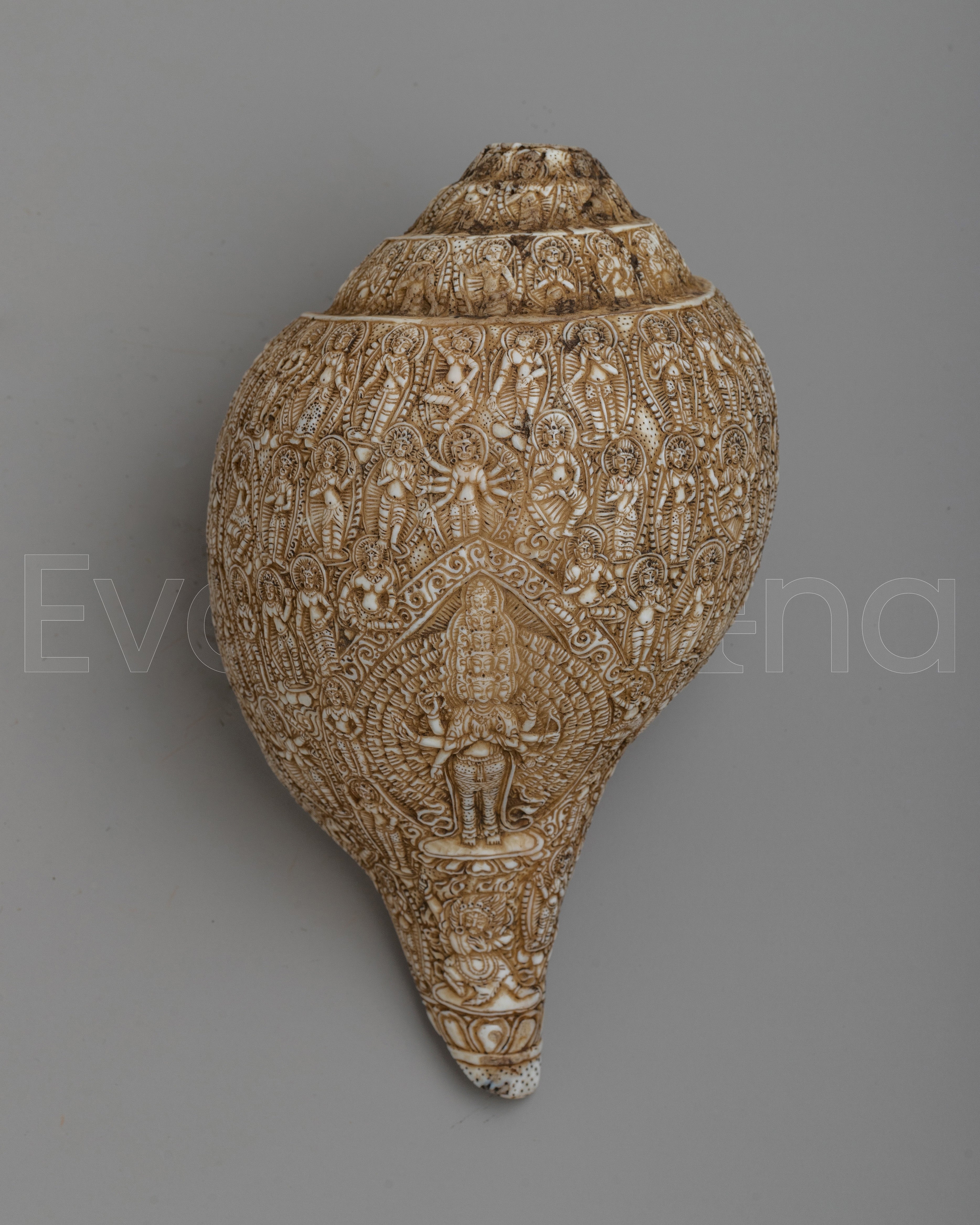 Deities Carved Shankha