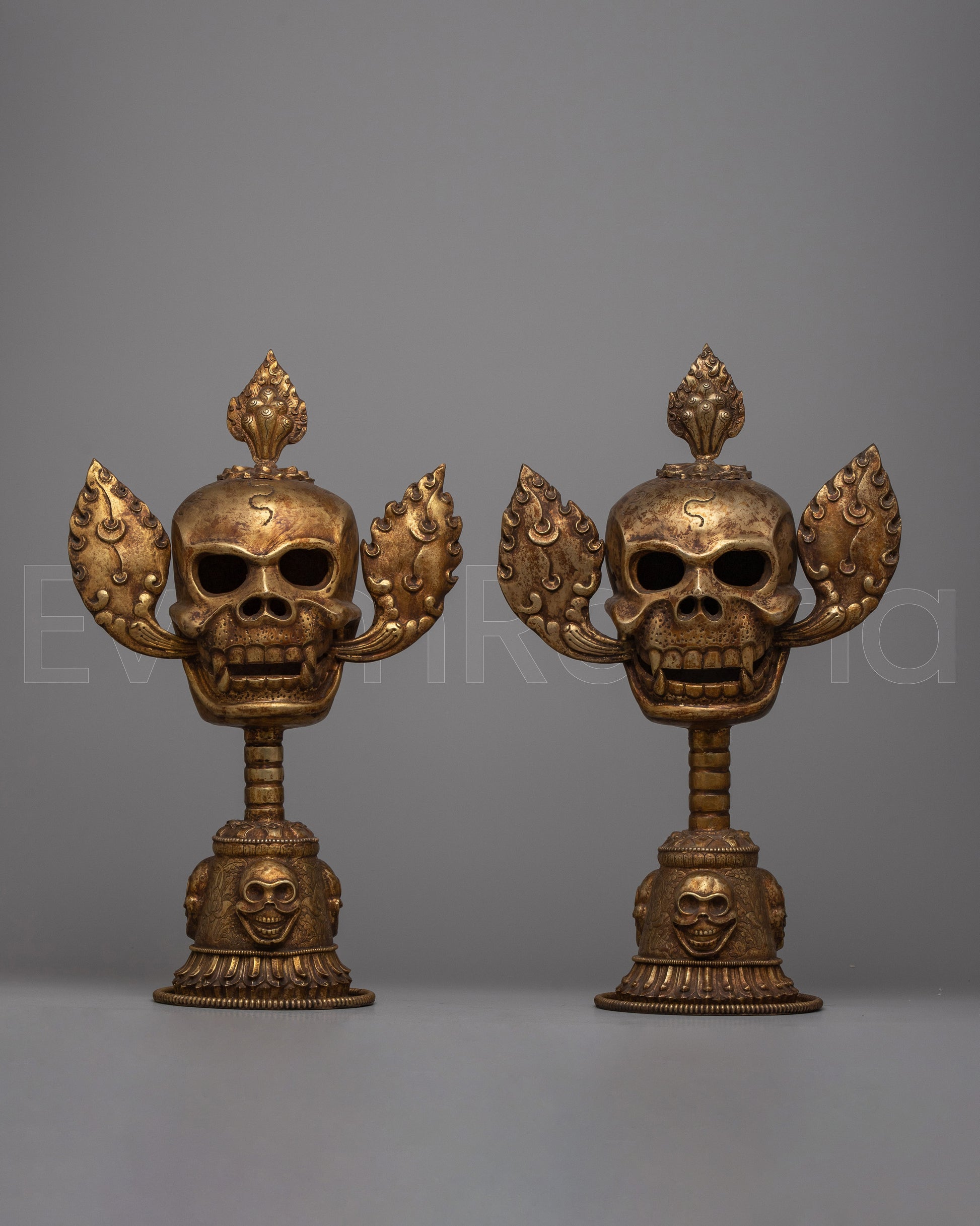 Citipati Head Set