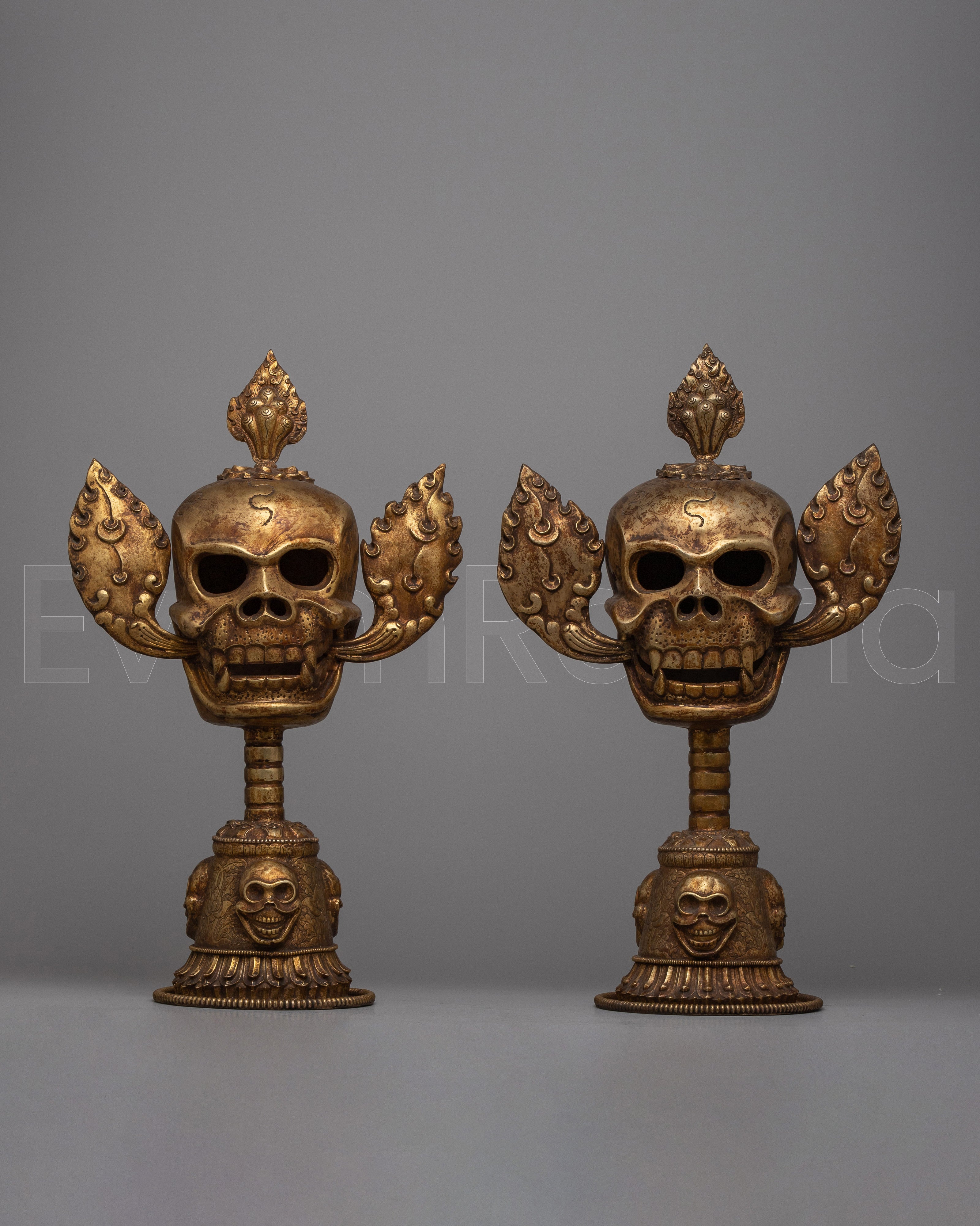 Citipati Head Set