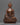 the medicine buddha