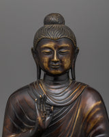 amogasiddhi-25cm-oxidized