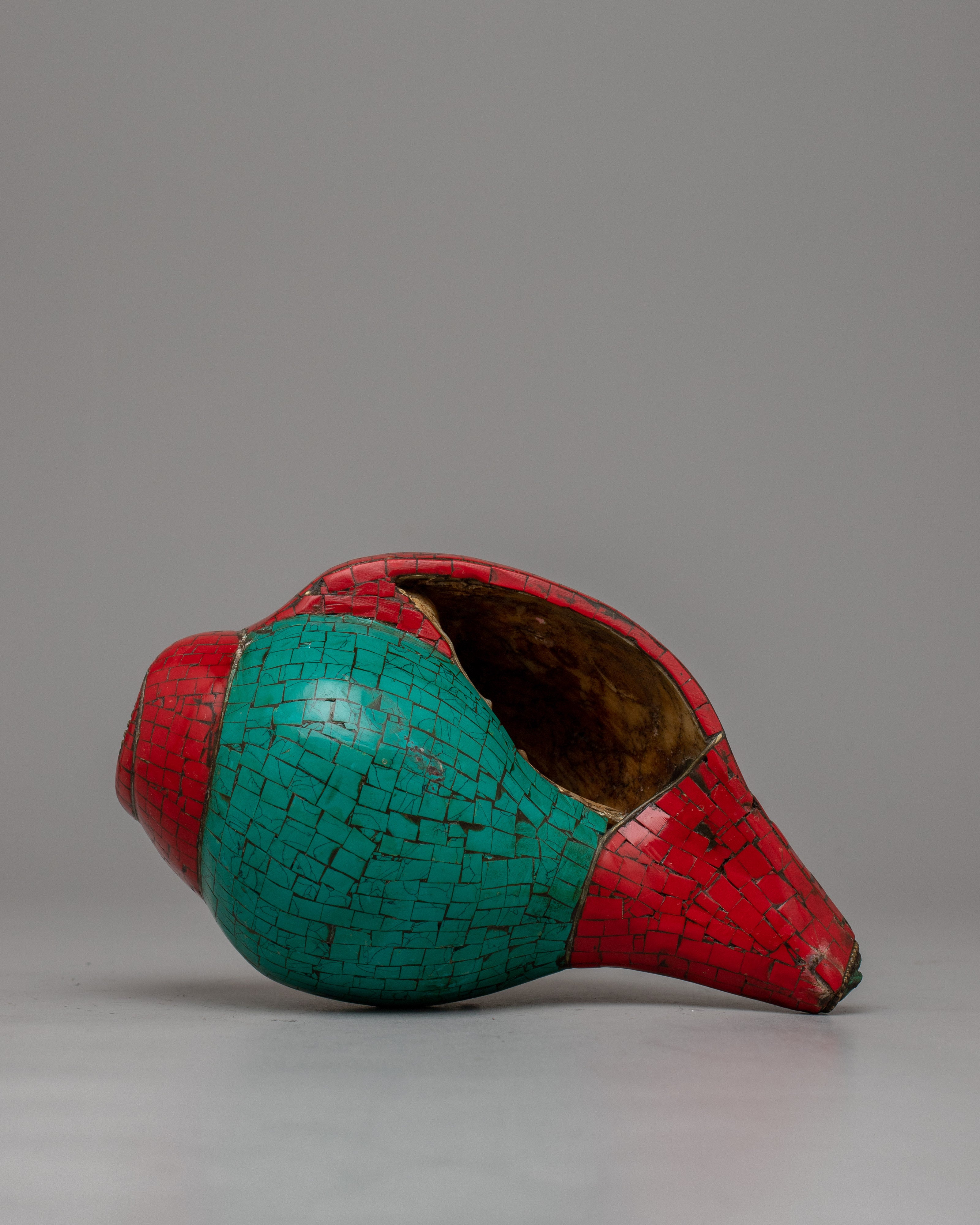 Shankha Conch Shell | Traditional Rituals with Vibrant Energy and Divine Blessings
