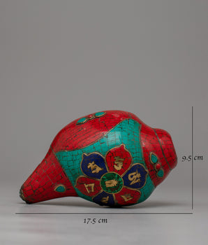 Shankha Conch Shell | Traditional Rituals with Vibrant Energy and Divine Blessings