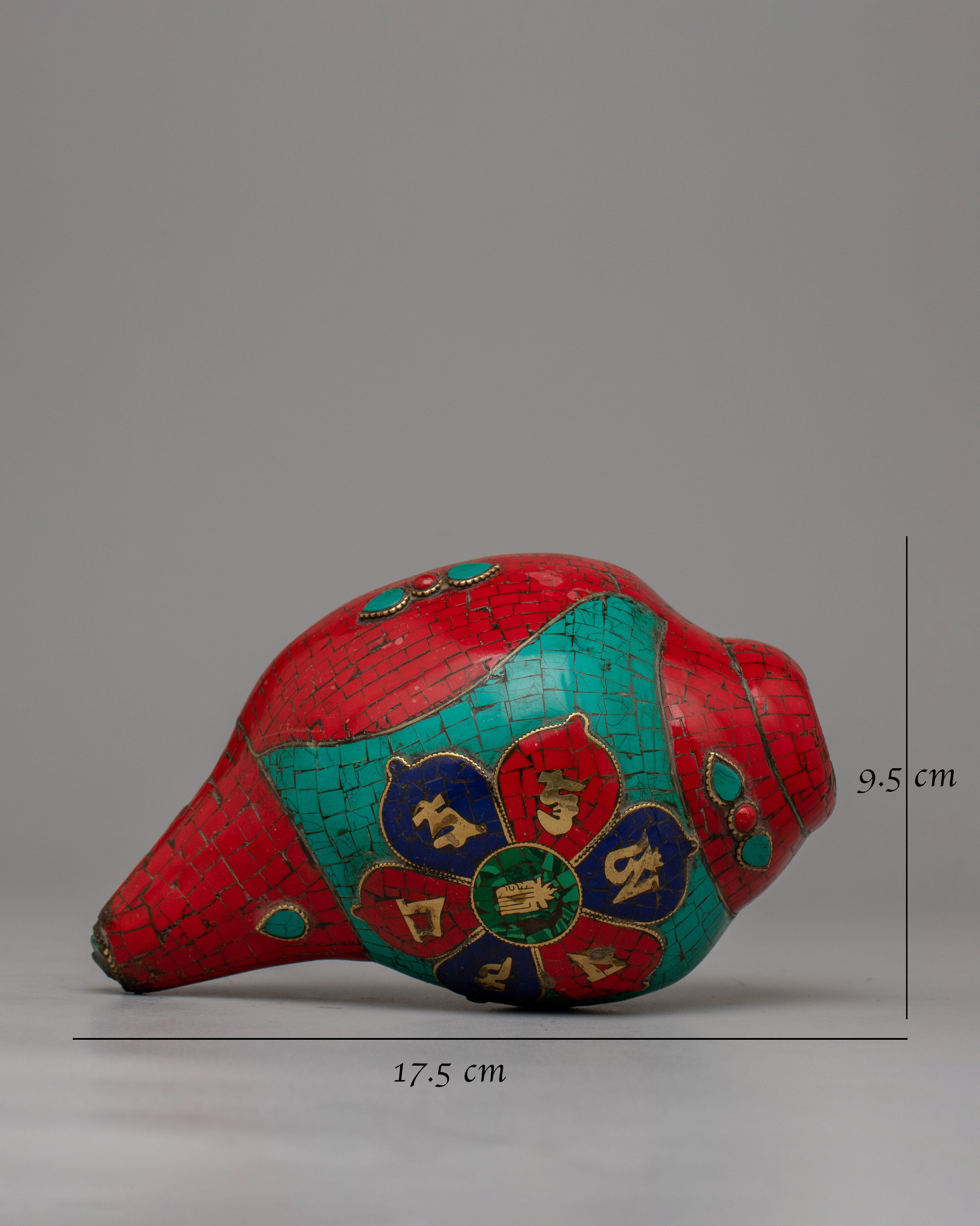 Shankha Conch Shell | Traditional Rituals with Vibrant Energy and Divine Blessings