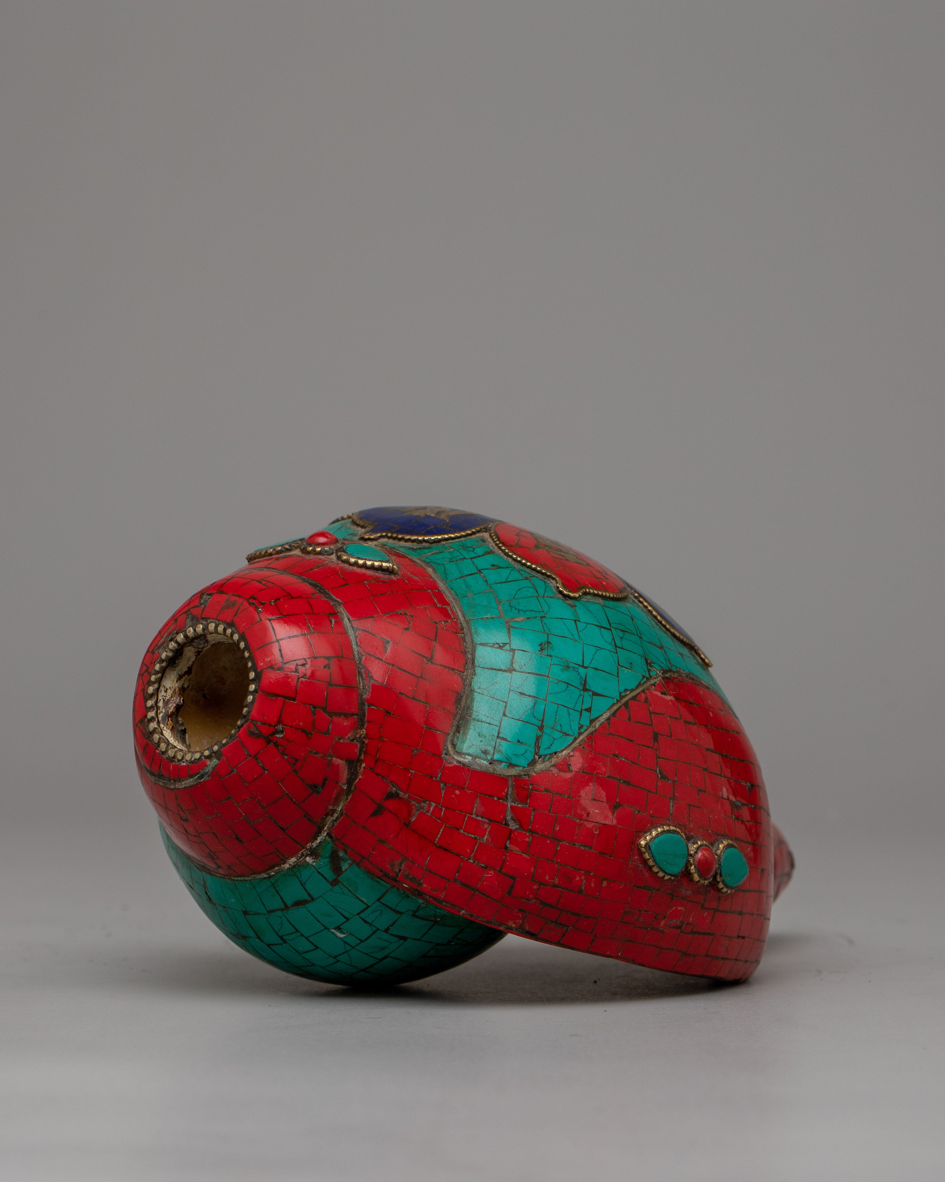 Shankha Conch Shell | Traditional Rituals with Vibrant Energy and Divine Blessings