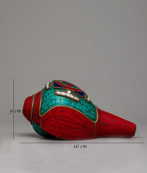 Shankha Shell | Natural Beauty for Your Home Decor