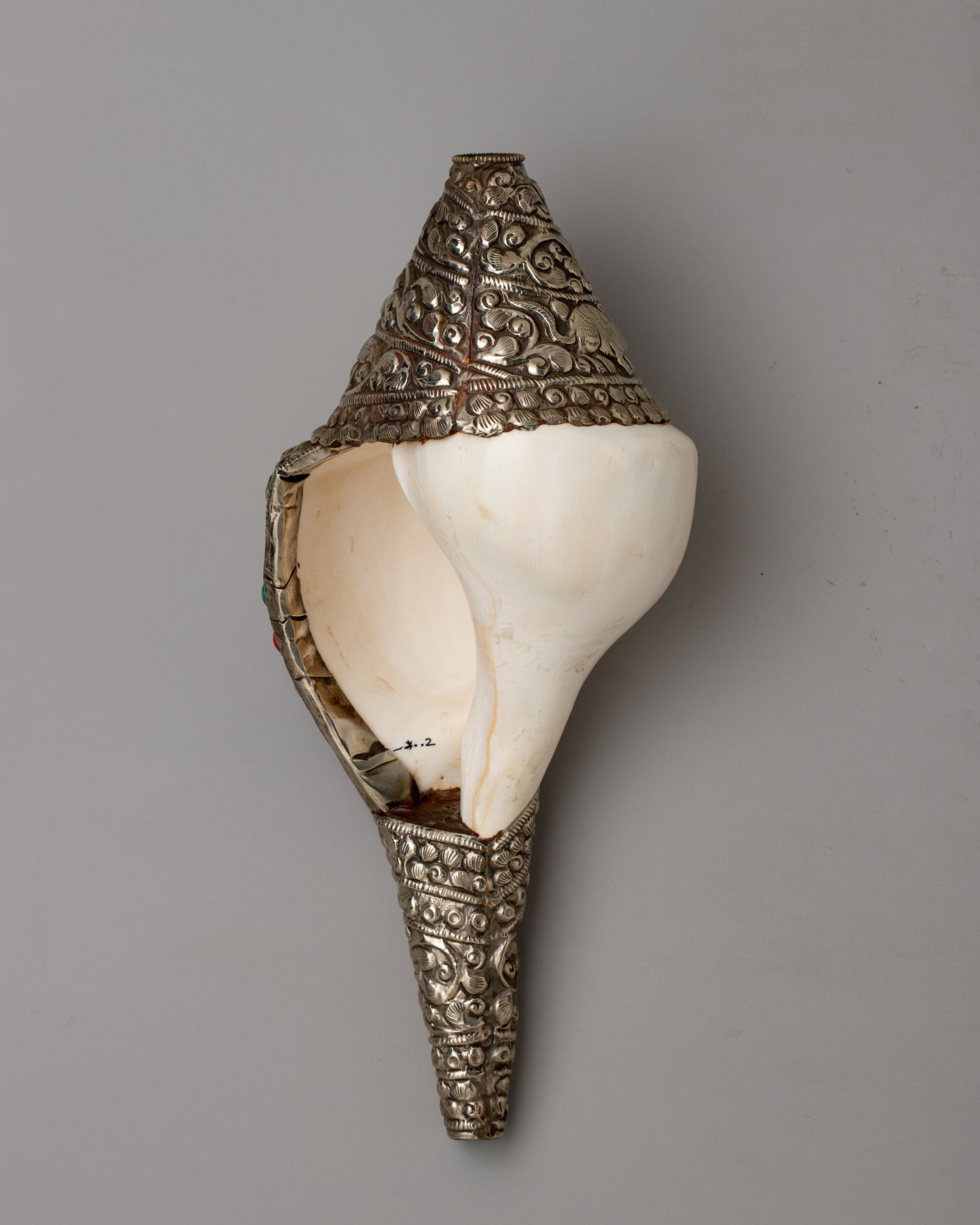 Conch Shell Decor | Handcrafted Beauty for Your Space