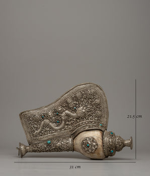 Carved Conch Shell | A Symbol of Natural Beauty and Artistic Craftsmanship