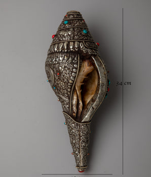 Fish carved Sankha | Symbolizing Prosperity and Spiritual Abundance