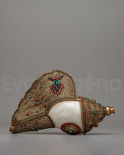 Conch Shell