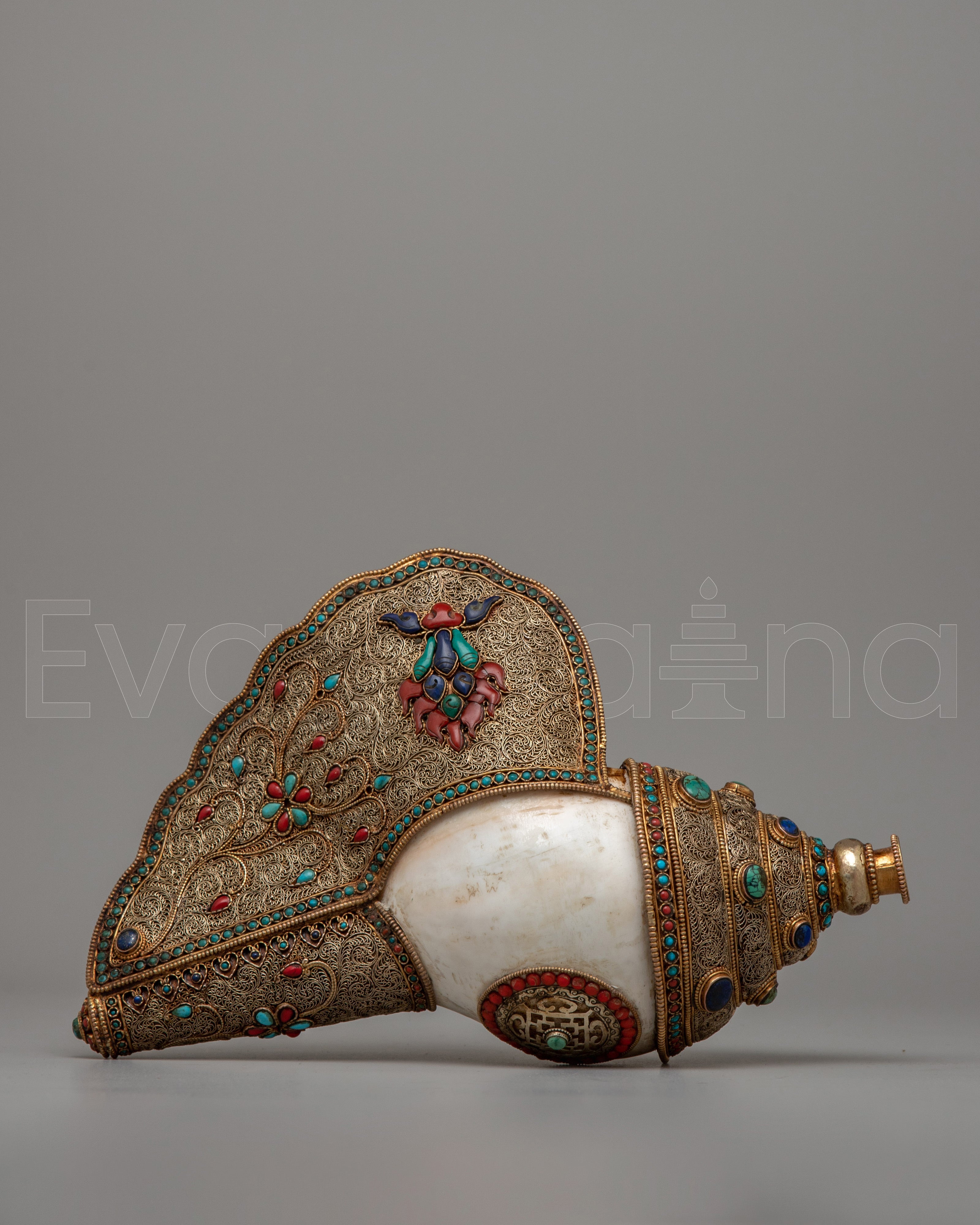  Conch Shell