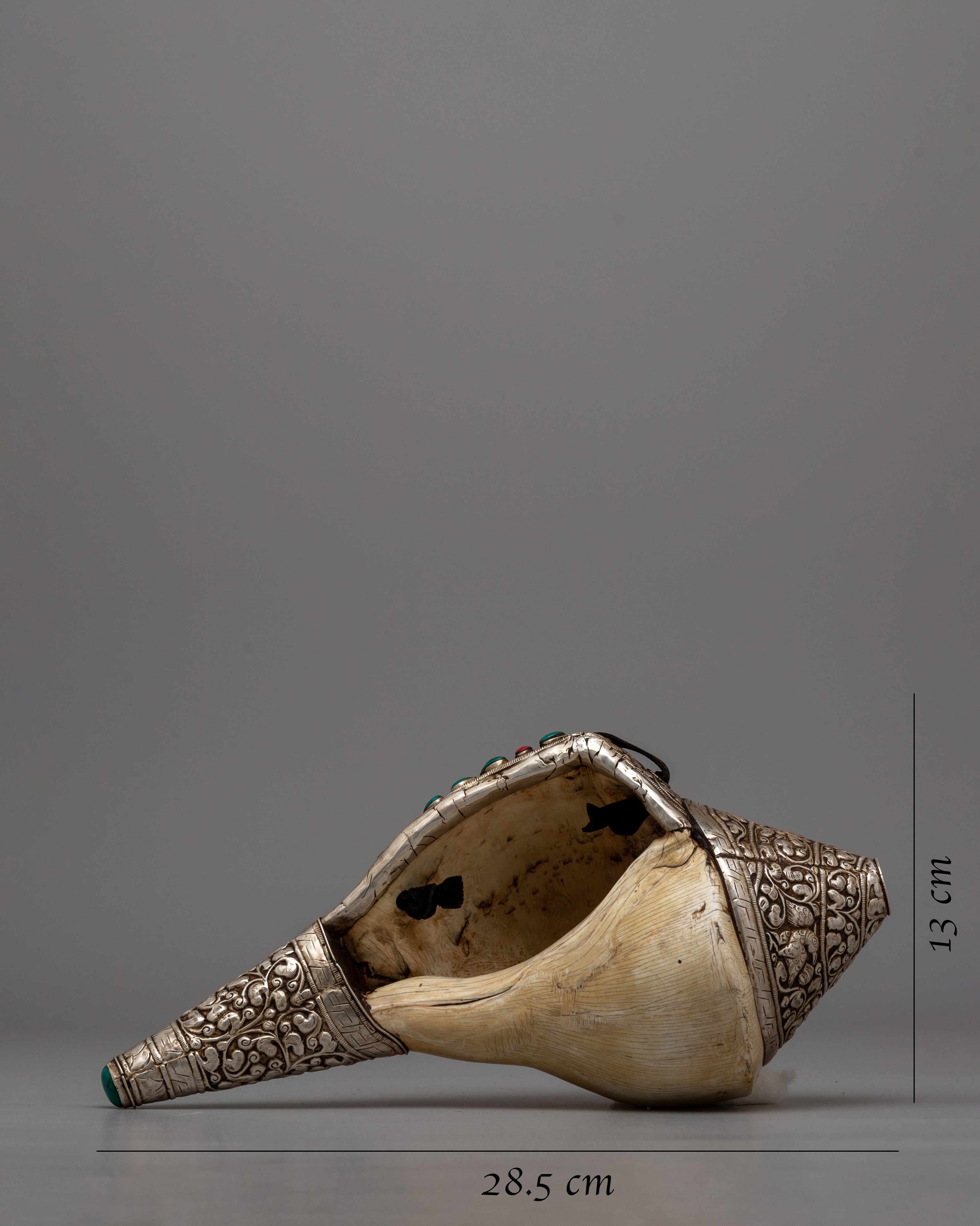 Conch Shell Pooja | Ritual Shell for Enhancing Your Worship and Offerings