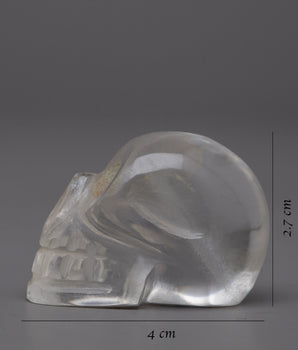 The Crystal Skull | Unveiling Secrets of the Past and Visions of the Future