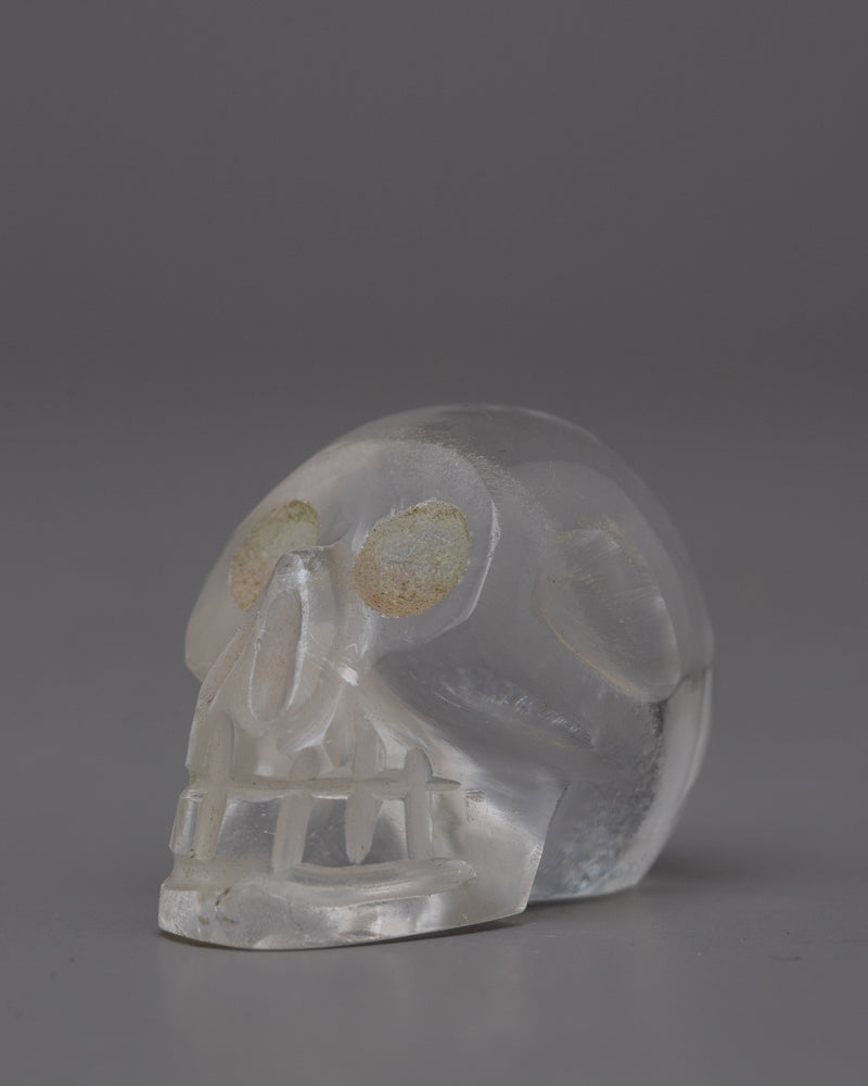 The Crystal Skull | Unveiling Secrets of the Past and Visions of the Future