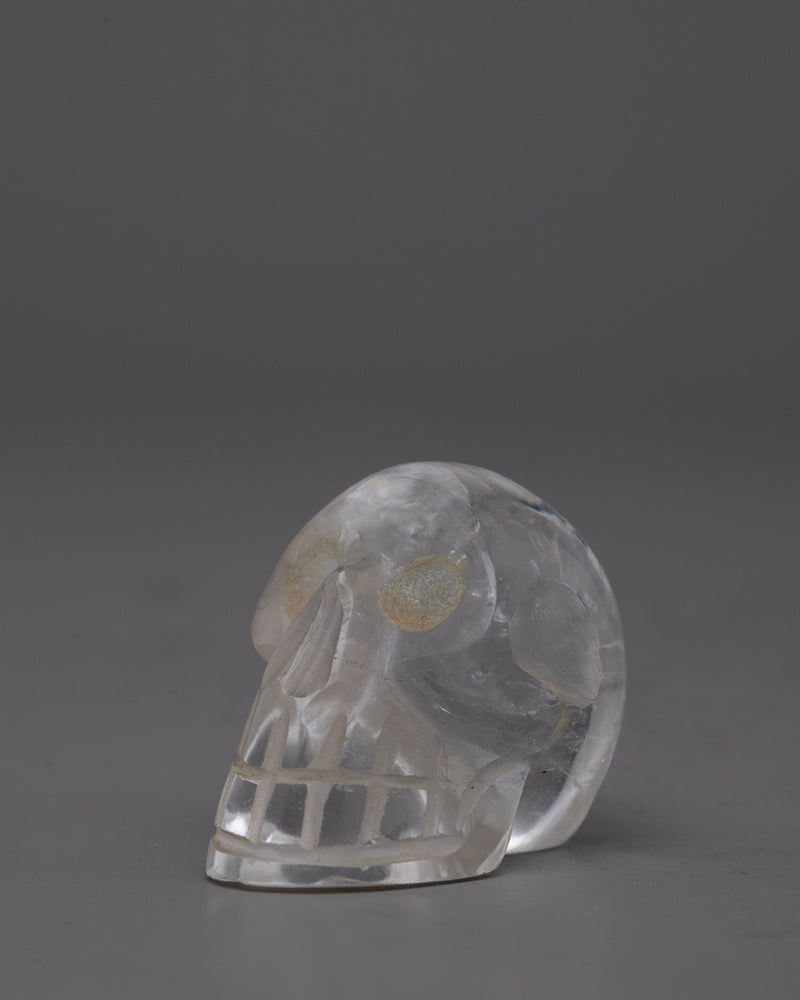 Skull Crystal Statue | Evoking Depth and Mystery, Symbolizing Transformation and Renewal