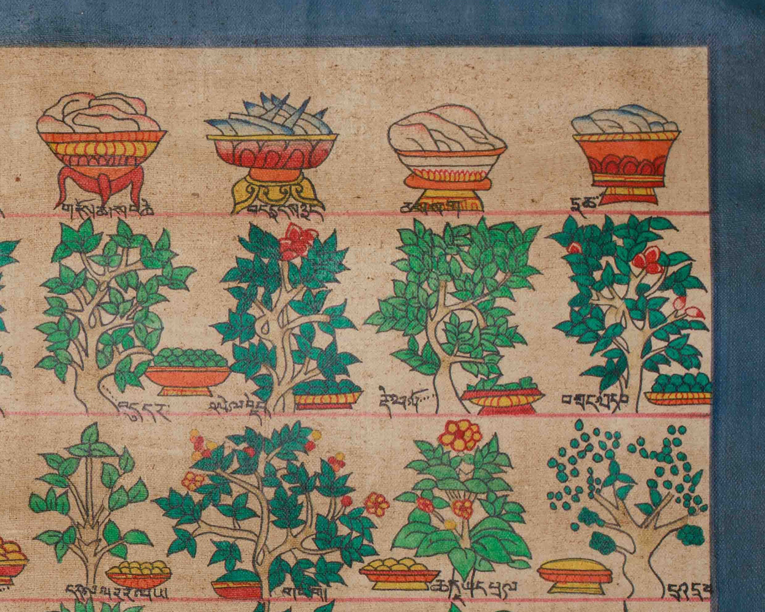 Himalayan Medical Plants Thangka | Symbolizing Natural Medicine, Spiritual Wellness, and Herbal Protection | Nature's Sacred Gifts
