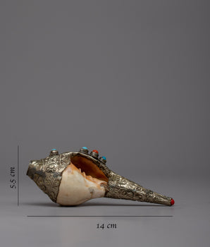 Buddhist Sankha Design | Tibetan Traditional Ritual Instrument Dung, Conch Shell for Decor