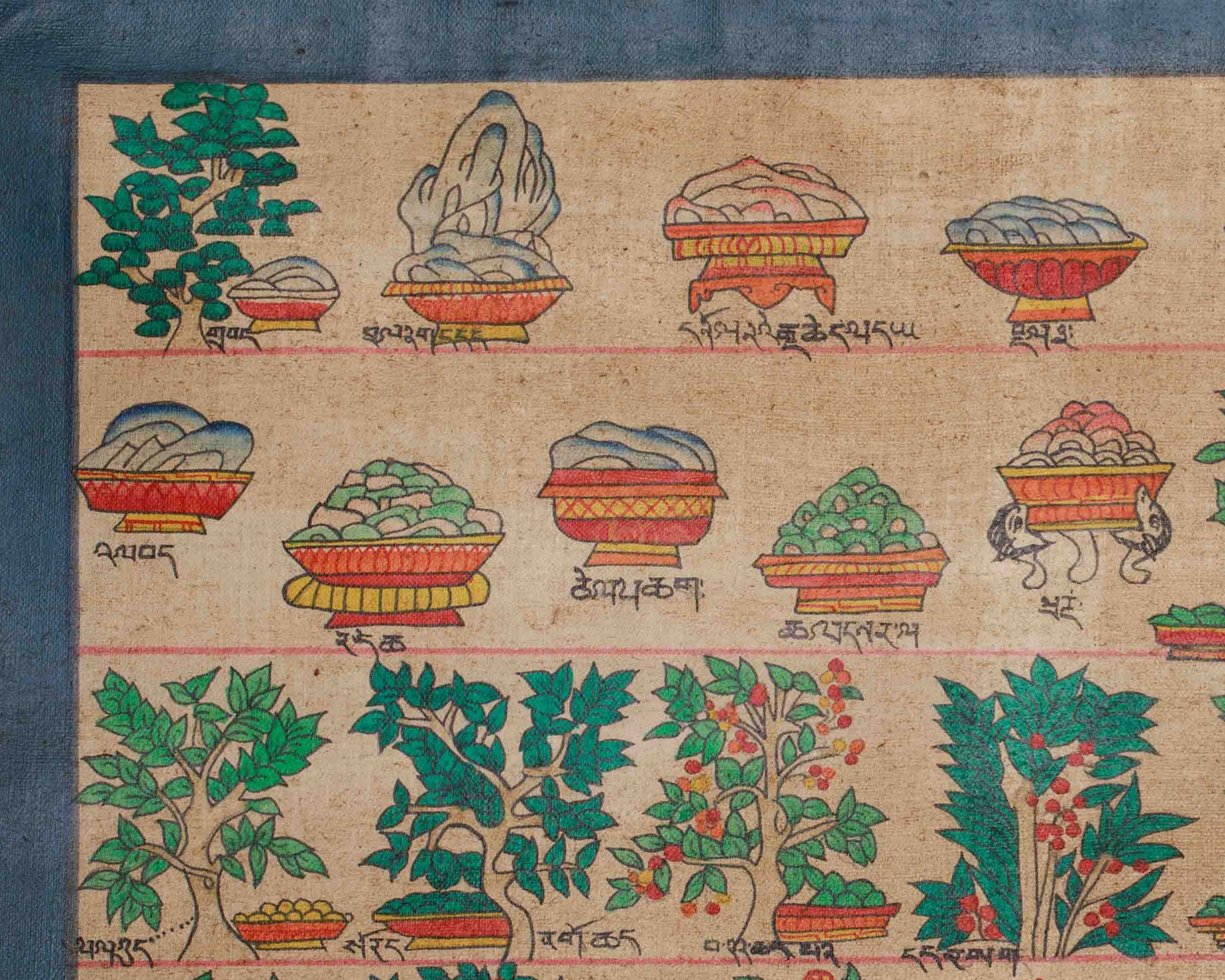 Himalayan Medical Plants Thangka | Symbolizing Natural Medicine, Spiritual Wellness, and Herbal Protection | Nature's Sacred Gifts