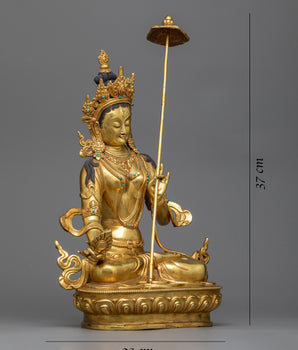 ushnisha sitatapatra 