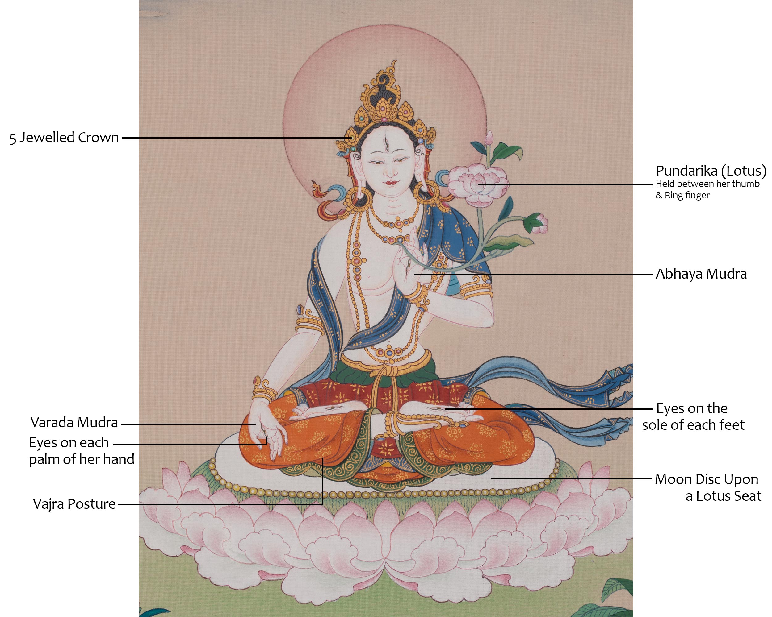 White Tara Compassion Deity Art | Revered Female Buddha in Tibetan Buddhism | Sita Tara