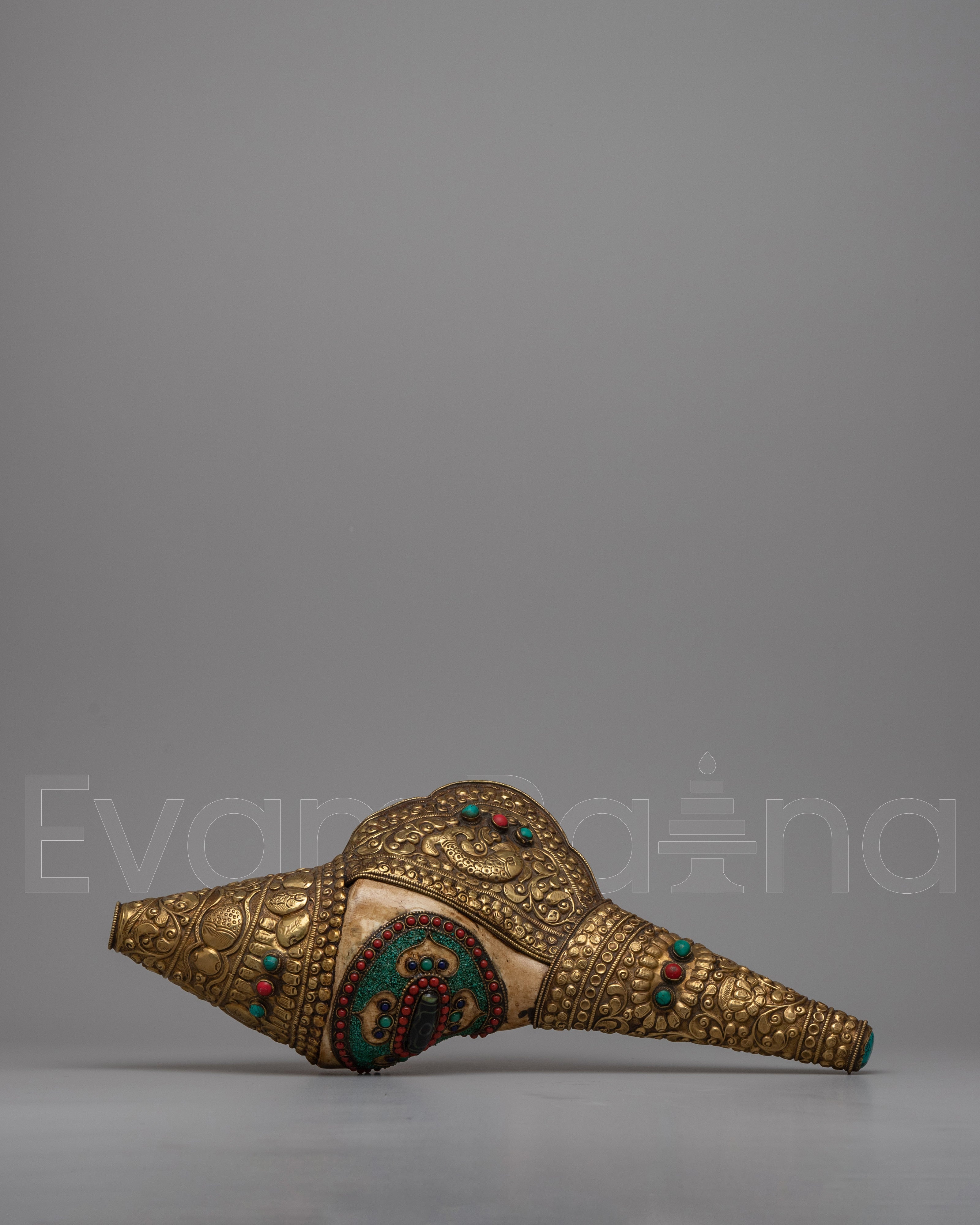Shankh Shell 
