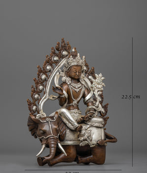 Samantabhadra Statue