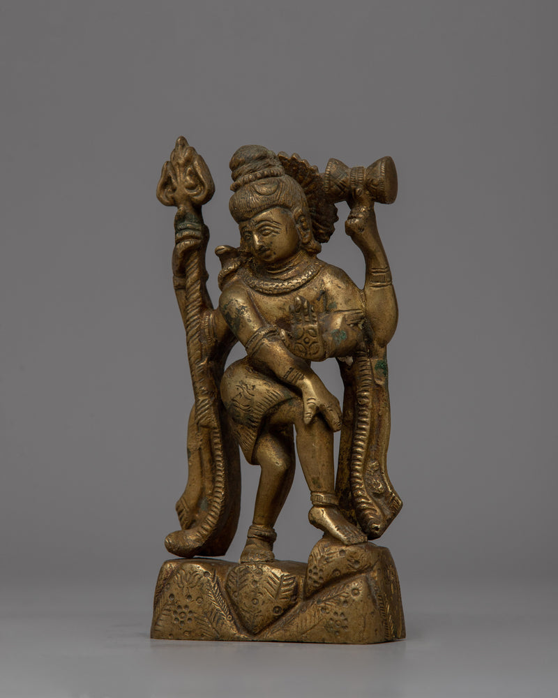 Brass Shiva Statue | A Powerful Presence for Your Home, Office or Temples