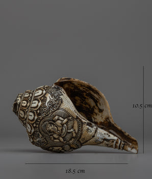 Handcarved Buddhist Sankha Shell | Traditional Ritual Conch | Sacred Sound Tool