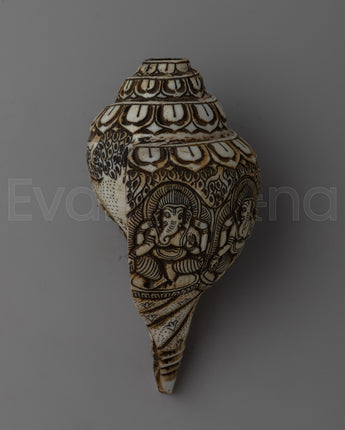 Sankha Shell