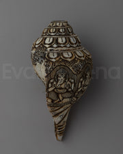Sankha Shell