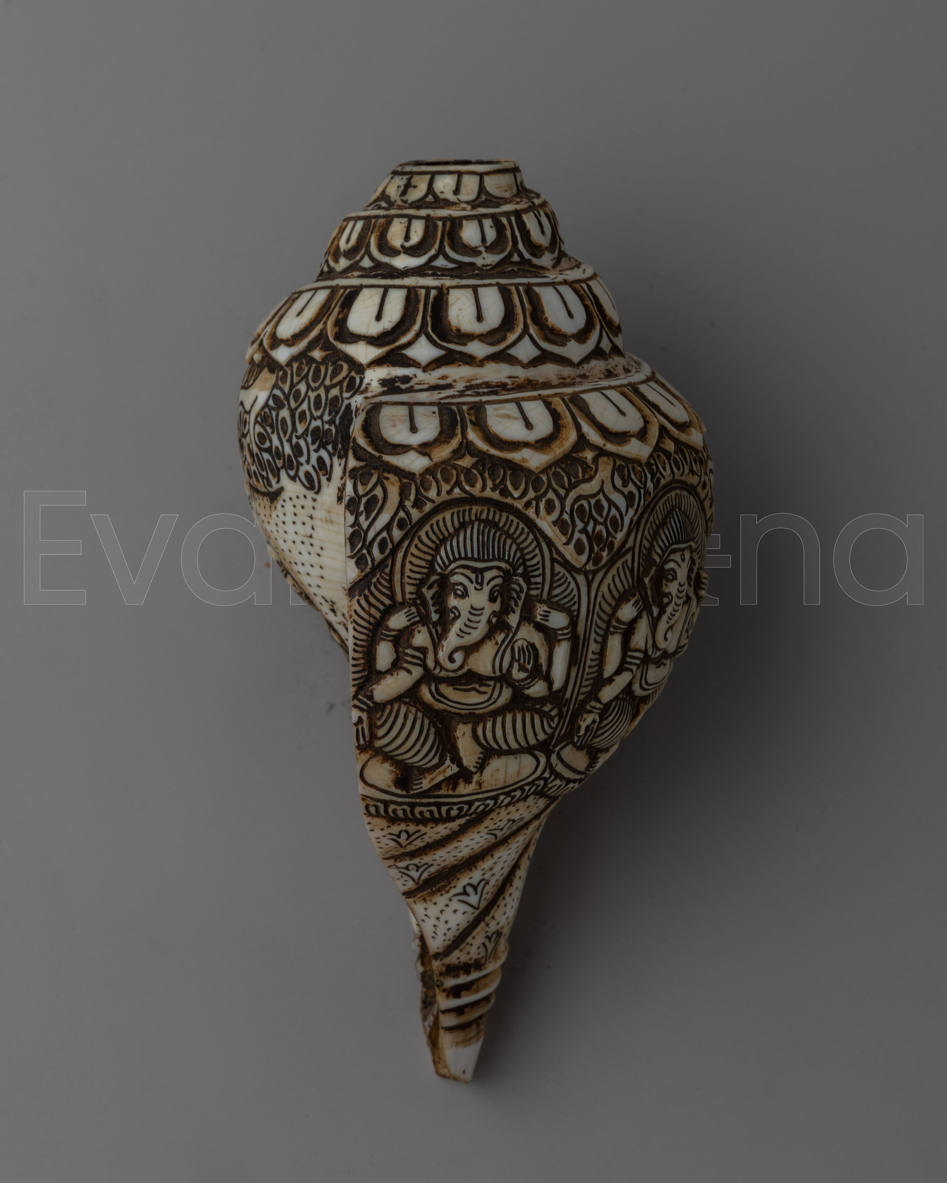 Sankha Shell