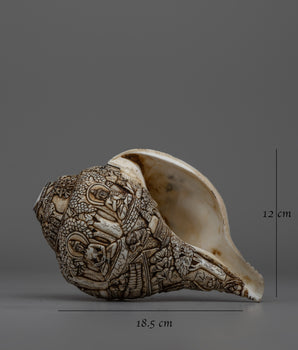 Divine Hand-Carved Conch Shell |  Handcrafted Shankh for Rituals and Meditation