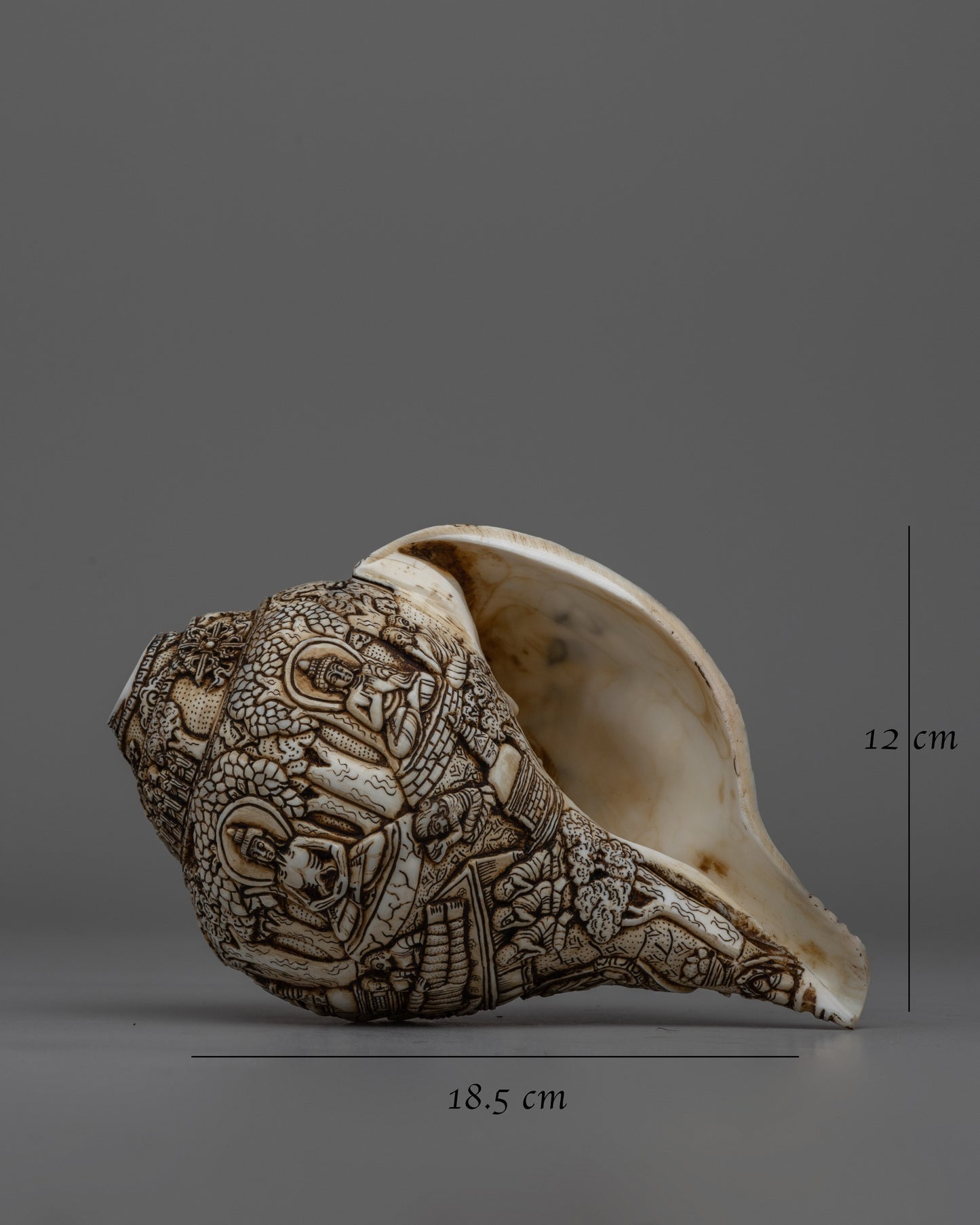 Divine Hand-Carved Conch Shell |  Handcrafted Shankh for Rituals and Meditation