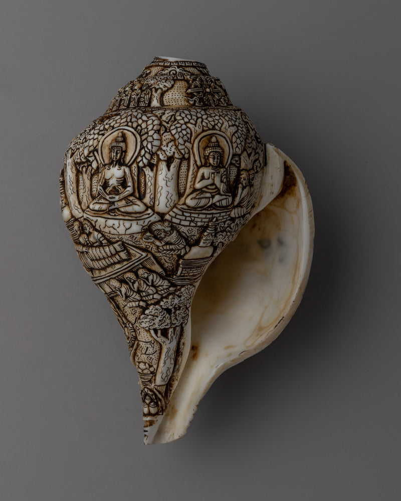 Divine Hand-Carved Conch Shell |  Handcrafted Shankh for Rituals and Meditation