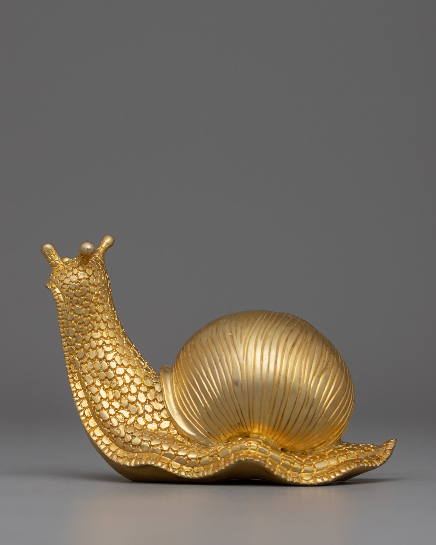 Gold Snail Home Decor | Gift for Nature Lover