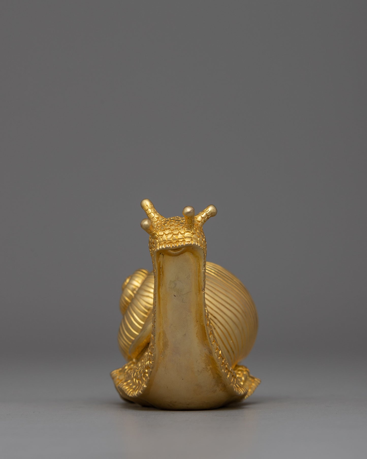 Gold Snail Home Decor | Gift for Nature Lover