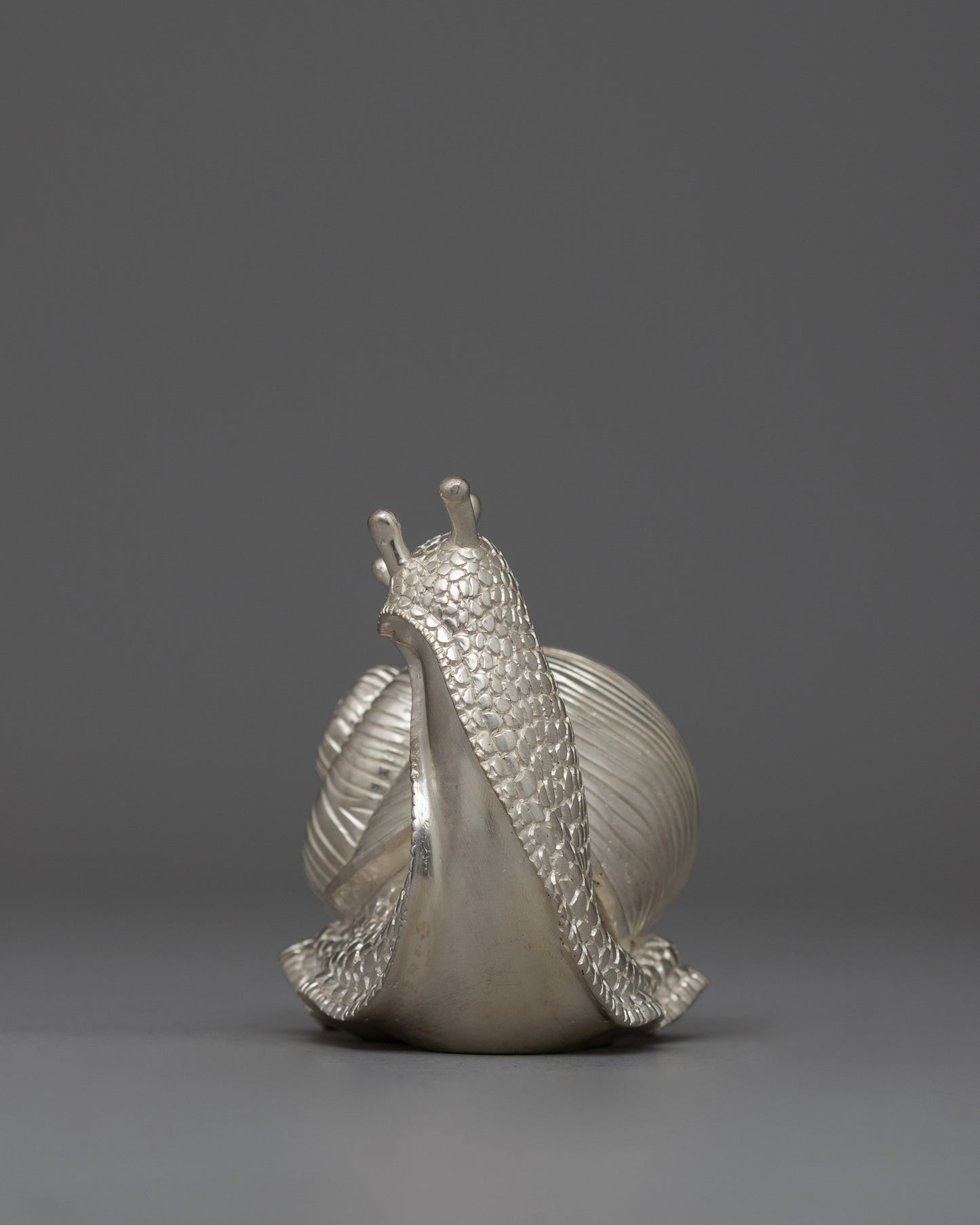 Decorative Silver Snail | Prosperity Gift