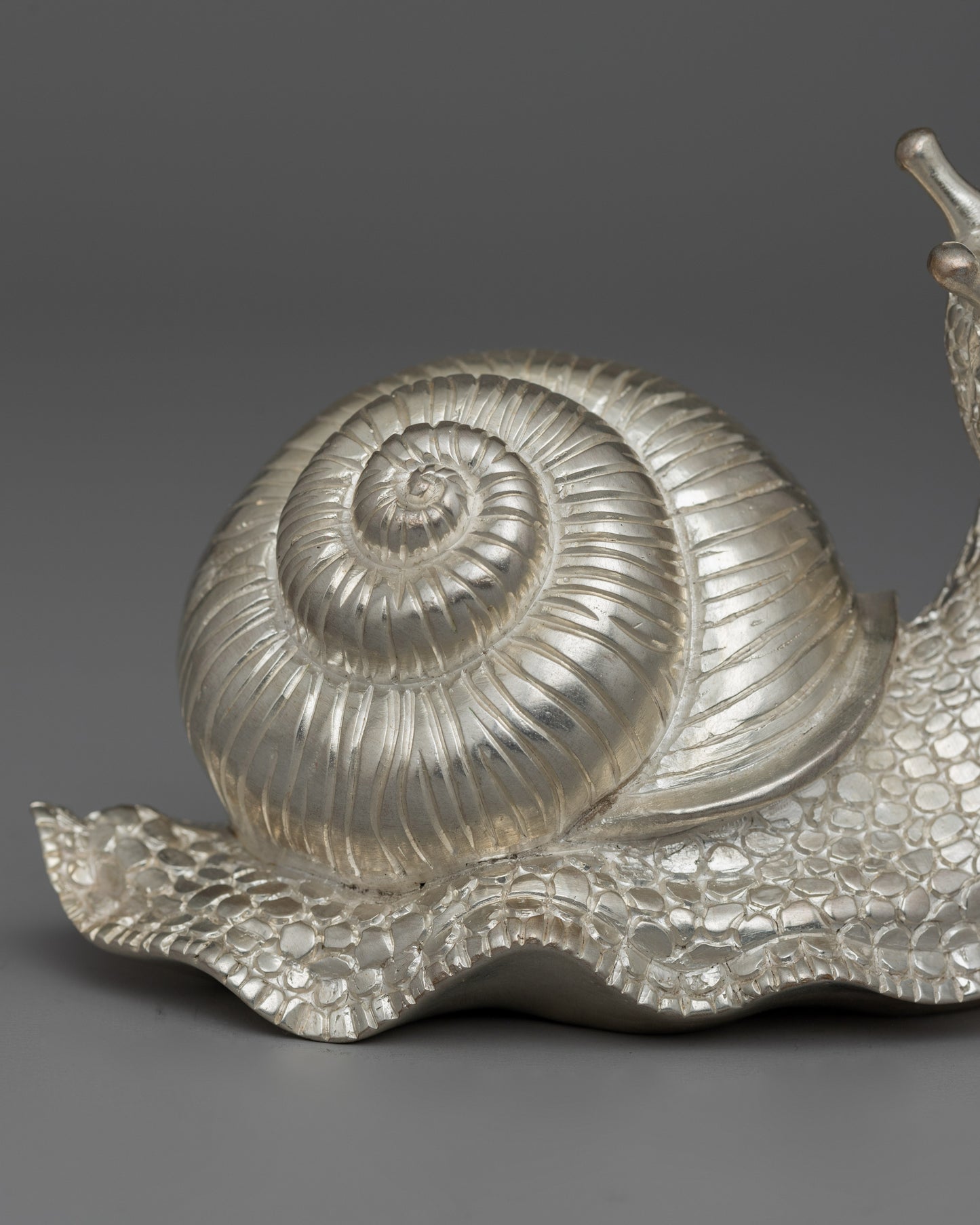 Decorative Silver Snail | Prosperity Gift