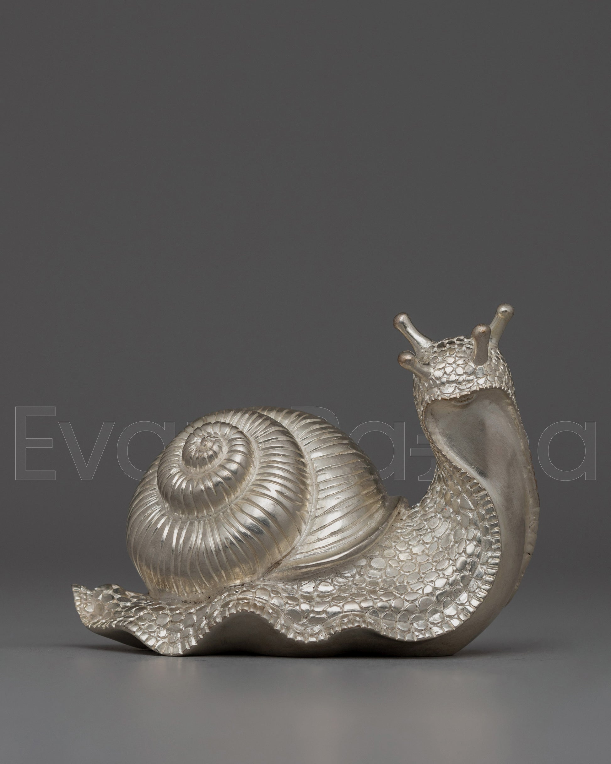 Snail
