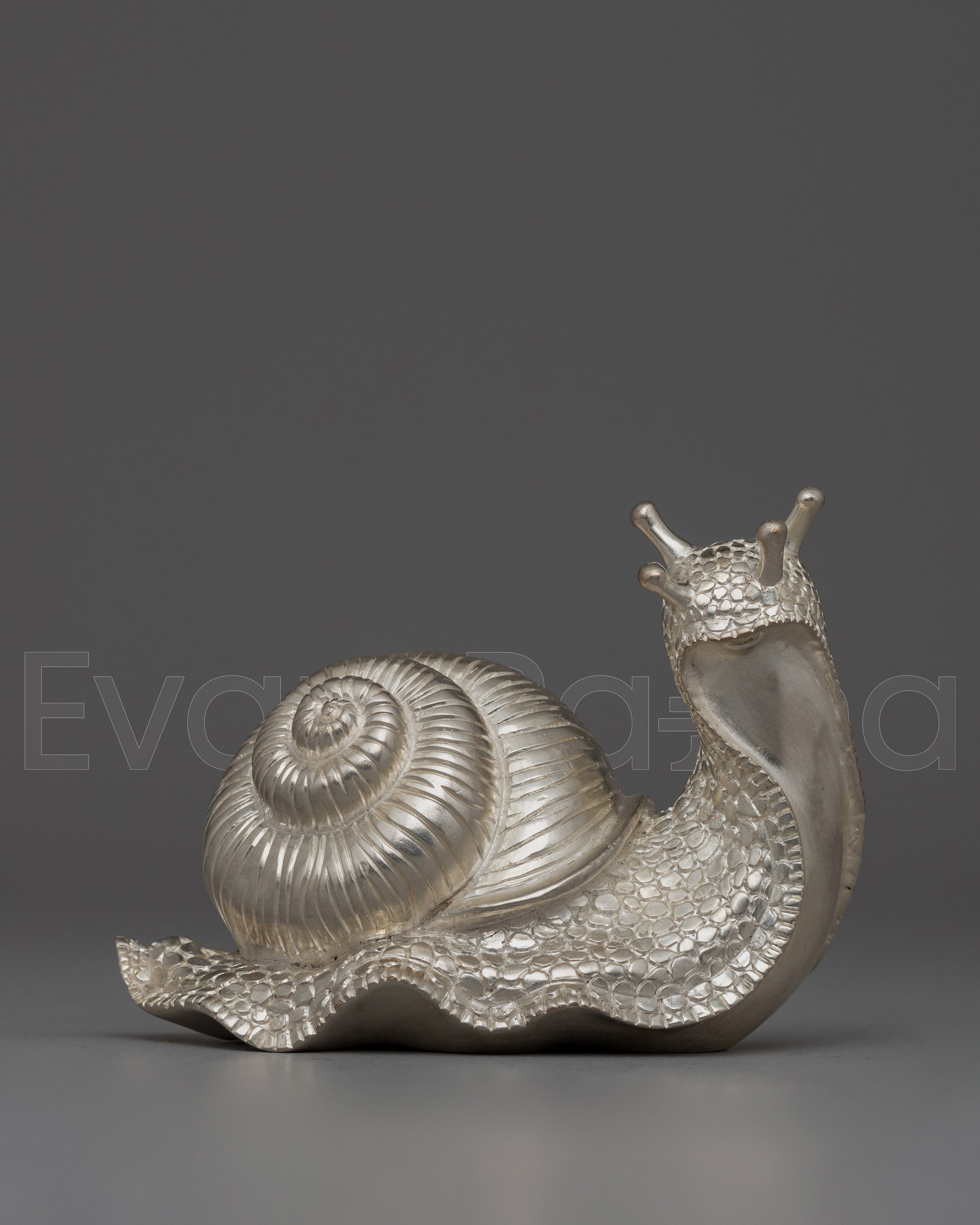 Snail
