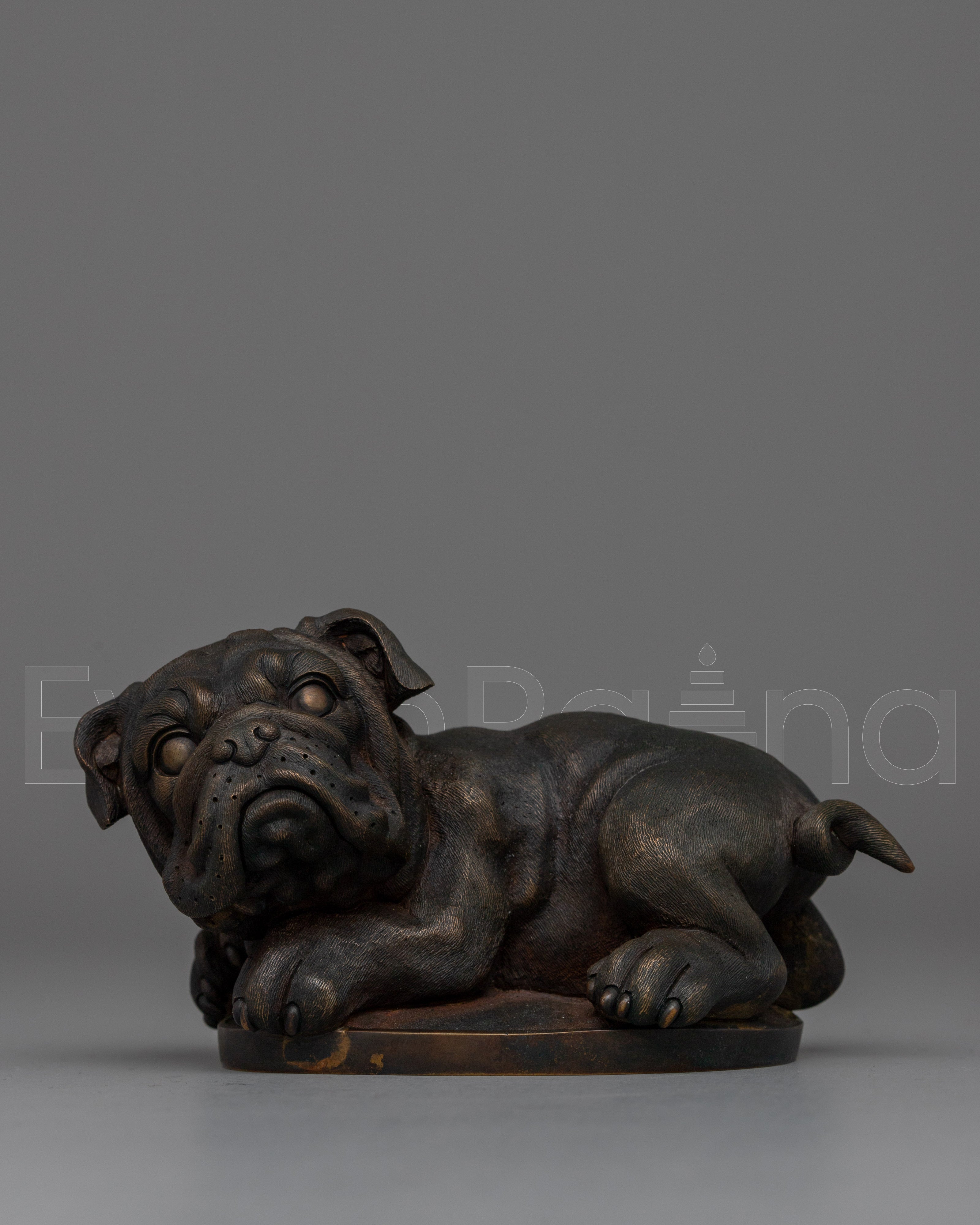  Bull Dog 