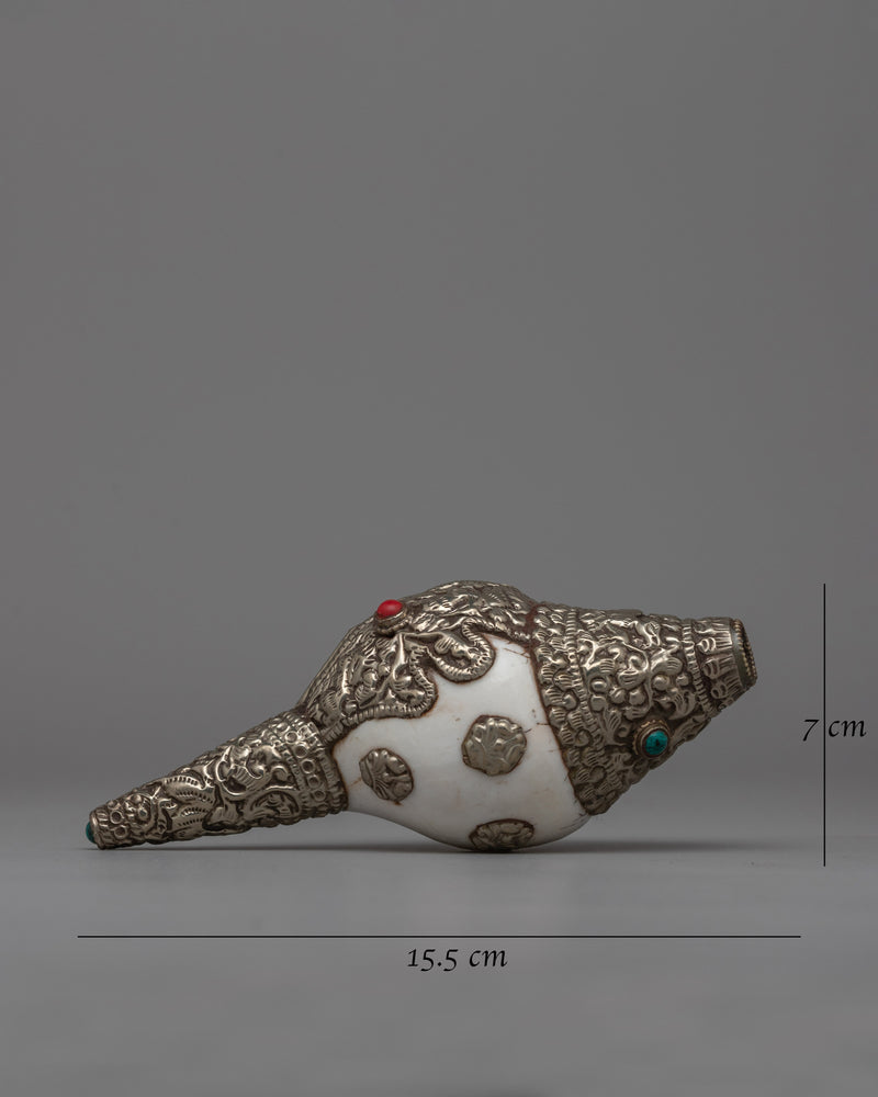 Decorative Silver Conch Shell | Buddhist Ritual Tool