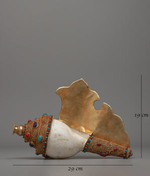 Gold-Plated Ritual Conch Shell |  A sacred Buddhist Artifact for Decor and Rituals