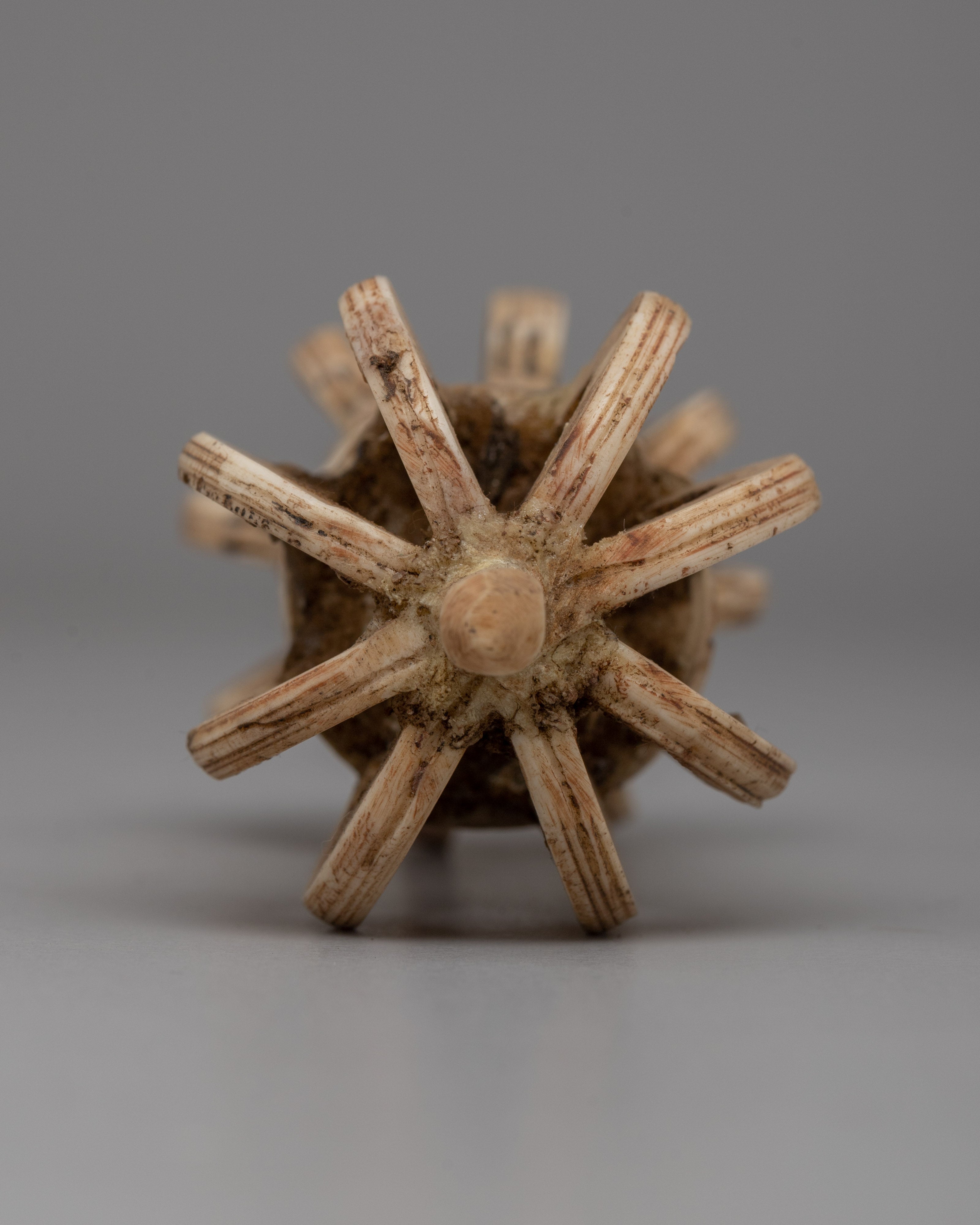 Hand-Carved Buffalo Bone Vajra | Sacred Tibetan Ritual Tool