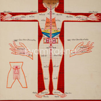 Human Body Anatomy Thangka Art